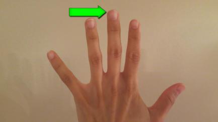 middle finger.web.jpg